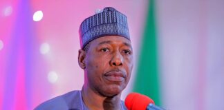 Resettlement: Zulum opens 300 houses in Rumirgo town