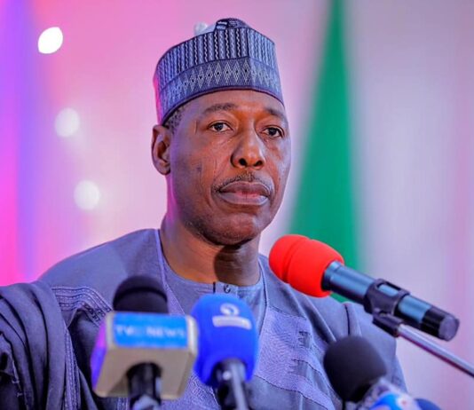 Resettlement: Zulum opens 300 houses in Rumirgo town