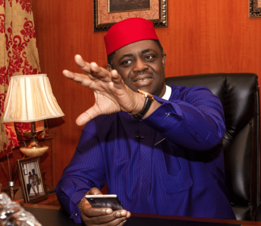 Coup Tweet: I Was Grilled For 5 Hours By SSS – Fani-Kayode