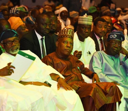 Yoruba leaders of thought back Asíwájú Tinubu, commend APC over power shift