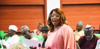 Chairman House of Rep C’ttee on Diaspora Calls Out CBN