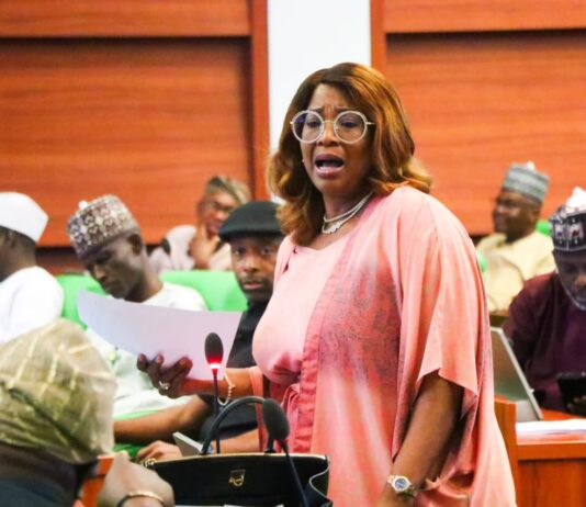 Chairman House of Rep C’ttee on Diaspora Calls Out CBN