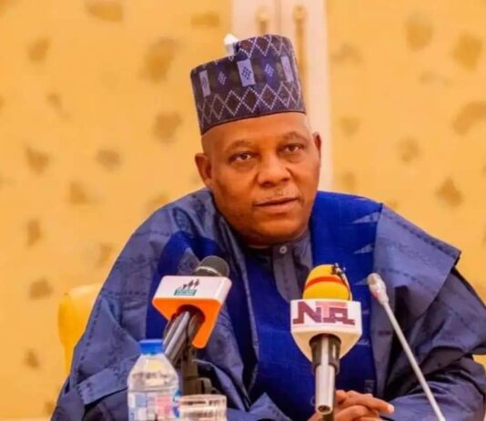 Shettima Rates 2023 Polls As The Most Credible Ever