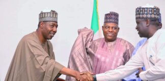 Borno Governorship: Zulum wins landslide with 85% votes, leaves PDP with 15%