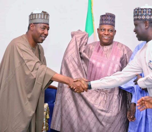 Borno Governorship: Zulum wins landslide with 85% votes, leaves PDP with 15%