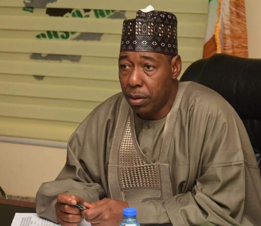 Borno to build three resettlement villages for 20,000 refugees
