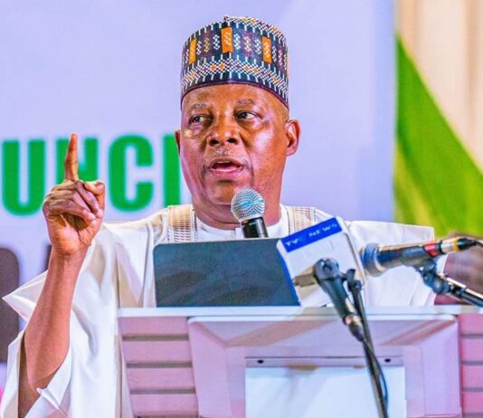 Tinubu Govt Will Need IBB, Abdulsalami’s Support – Shettima