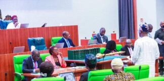 Reps condemn calls for interim govt, commend DSS for alerting nation