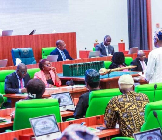Reps condemn calls for interim govt, commend DSS for alerting nation