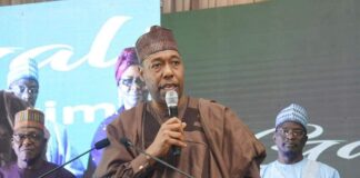 Primary Healthcare: Zulum inspires Borno to win $1.2m champion award