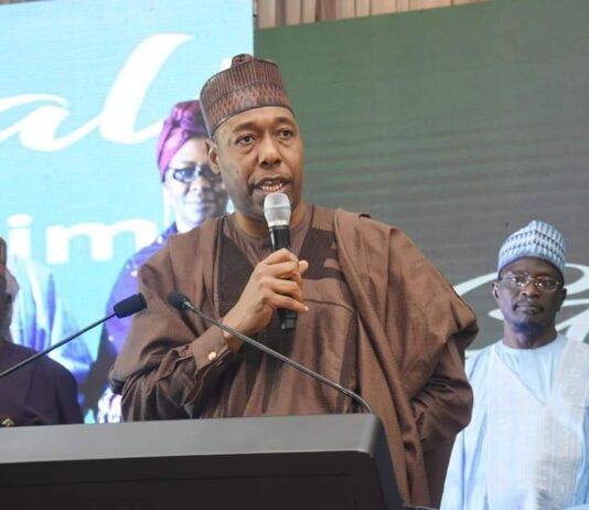 Primary Healthcare: Zulum inspires Borno to win $1.2m champion award