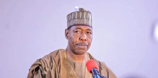 Borno to start afternoon primary, secondary system, Zulum announces