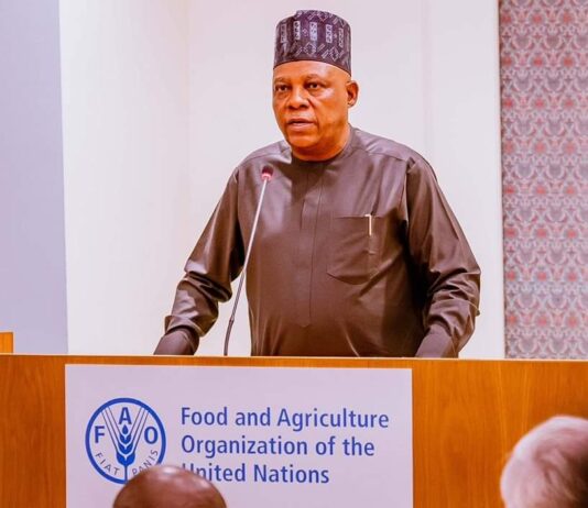 Nigeria Mobilised $500m For Food Systems Transformation – Shettima