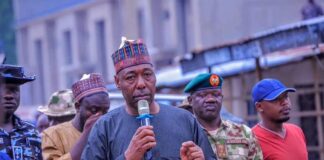 At emergency security meeting, Zulum orders crackdown on “Marlian” group