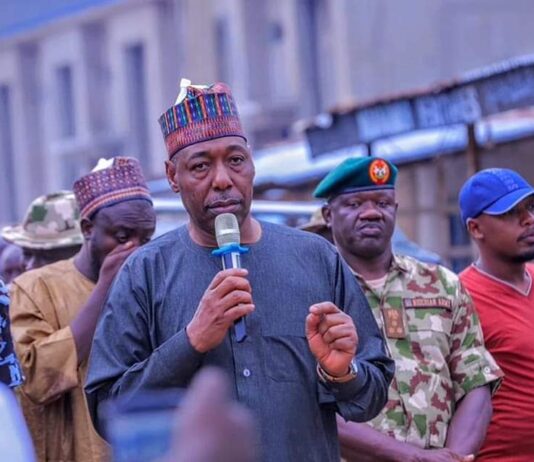 At emergency security meeting, Zulum orders crackdown on “Marlian” group