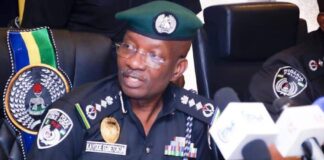 No Room For Violent Protests In Nigeria – IGP
