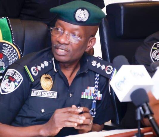 No Room For Violent Protests In Nigeria – IGP
