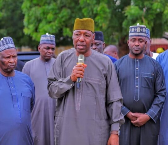Fuel Subsidy: Zulum shares food to 2,000 households in Mafoni