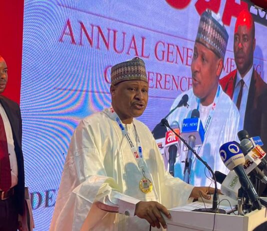 Let us stimulate national rebirth – Idris, Minister of Information urges Nigerians