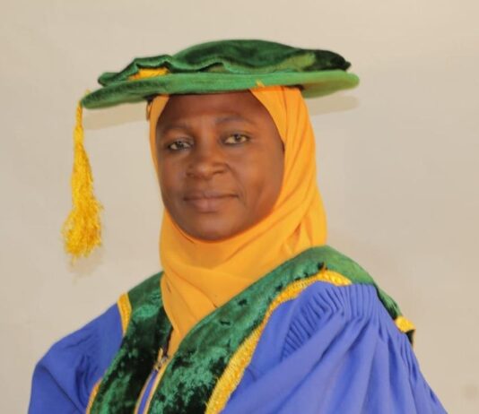 Dr. Mrs. Saudat Salah Abdulbaqi: A Visionary Leader for NIPR Governing Council – Hameed Muritala