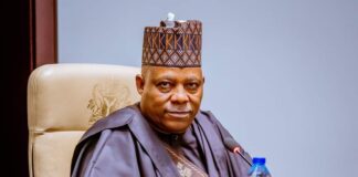 Speaker Abbas salutes Vice President Shettima at 57