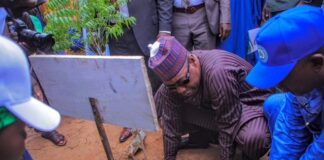 Desertification: Zulum flags off 1.2m trees’ planting in Borno