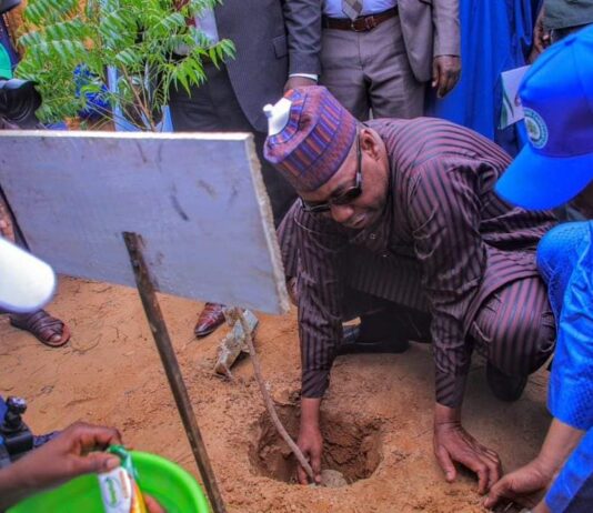 Desertification: Zulum flags off 1.2m trees’ planting in Borno