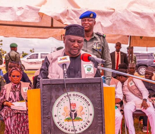 Governor Fintiri Flags Off Tree Planting Campaign