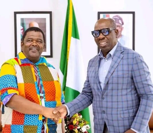Obaseki, Namibia explore trade, investment opportunities in livestock farming, technology, others