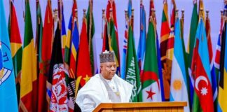G77: Nigeria ‘ll Harness Potential Of Science To Confront Economic Challenges — Shettima