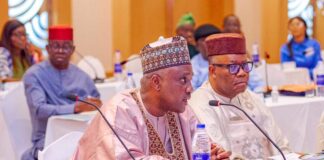 National Assembly budget stagnant for 13 years – Speaker Abbas