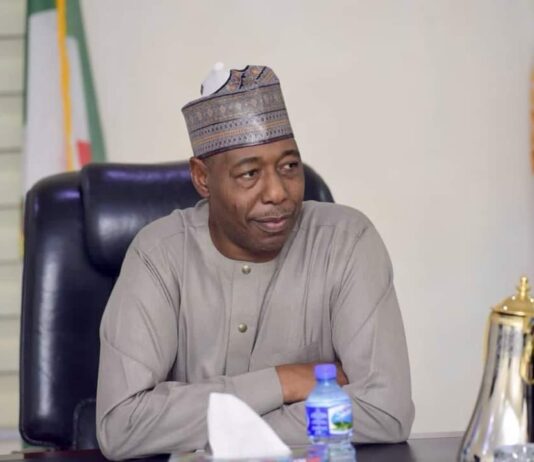 Nguro Soye: Zulum awards University scholarships to 37 laborers building IDPs houses