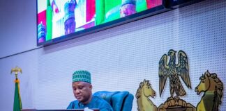 How the 10th National Assembly can boost the economy – Speaker Abbas