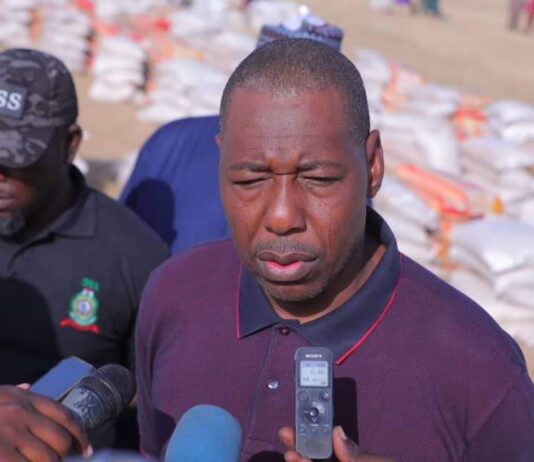 Irrigation: Zulum targets 200 hectares in Dikwa, Ngala