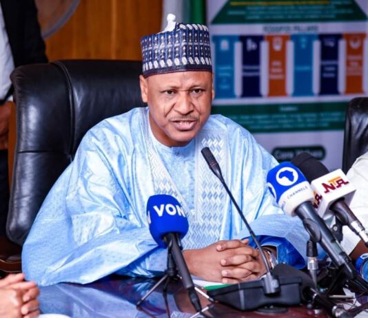 President Tinubu is Championing National Cohesion Through Inclusive Governance – Information Minister