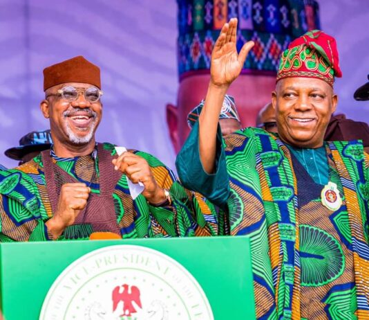 Our Culture, Tradition Unite Us – Shettima