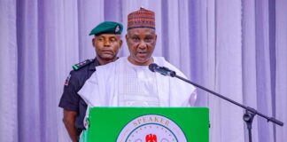 We’ll give Nigerians avenue to participate in 2024 budget process – Speaker Abbas