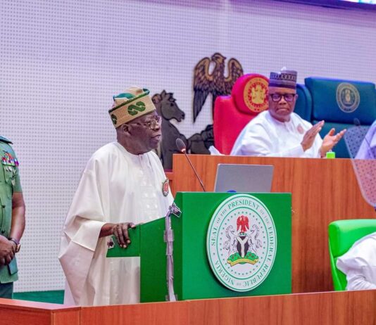 2024 Budget: Security, Job Creation, Poverty Reduction Top Priorities – President Tinubu
