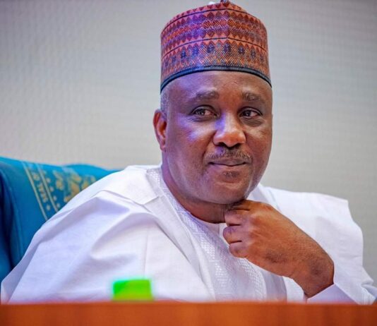 2024 budget must address needs of long-suffering Nigerians – Speaker Abbas