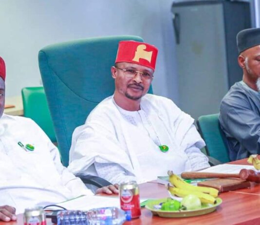 House customs committee launches seven-point agenda on revenue, others