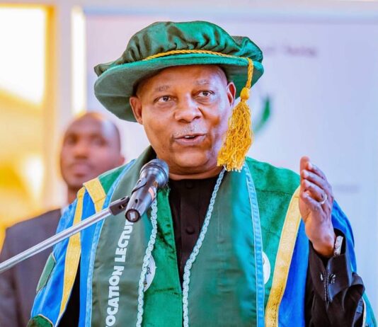 Agricultural Revolution Will Overcome Insecurity, Poverty In Nigeria – VP Shettima