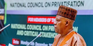 ‘Our Decisions On Privatisation Must Resonate In The Lives Of Nigerians’ – VP Shettima