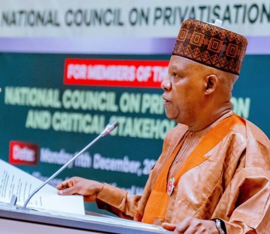 ‘Our Decisions On Privatisation Must Resonate In The Lives Of Nigerians’ – VP Shettima