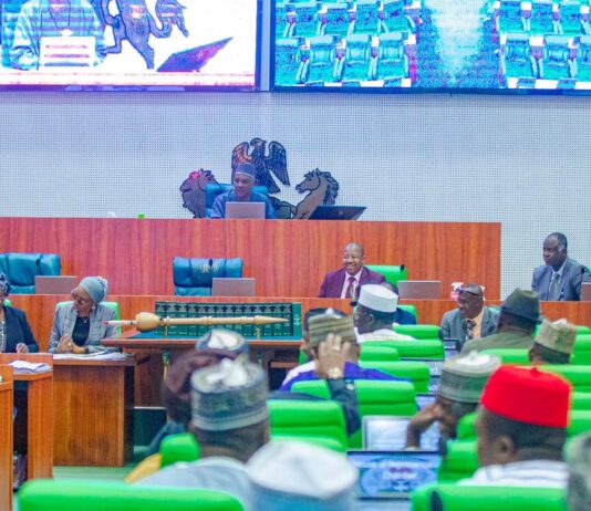 Reps seek improved military, diplomatic relations between Nigeria, France