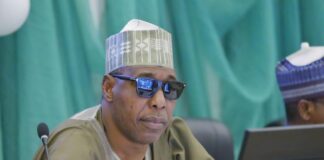 FG lauds Zulum for the 15% allocation to health