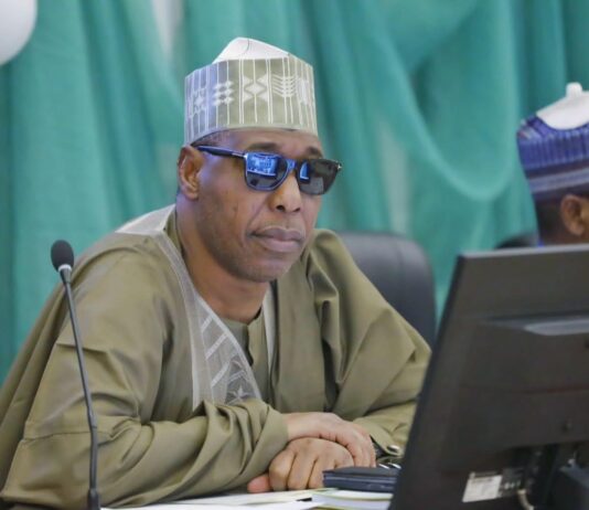 FG lauds Zulum for the 15% allocation to health