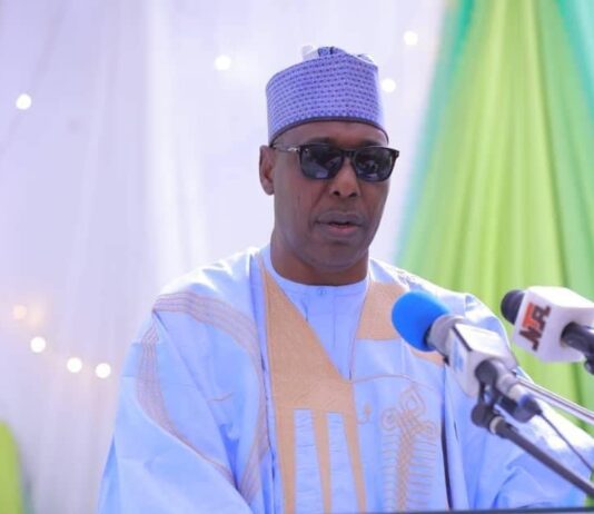 Arewa: Zulum lists 5 steps to address banditry, insecurity