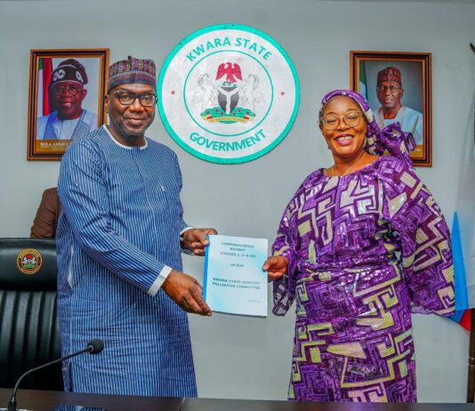 Kwara Gov restates commitment to openness as Palliative Committee submits reports