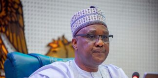 Expect reforms with ongoing 1999 Constitution review, Speaker Abbas tells EU