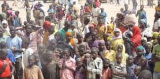 Update: Nine out of 102 Missing IDP Women Return, No Ransom Paid, Says Borno State Emergency Agency